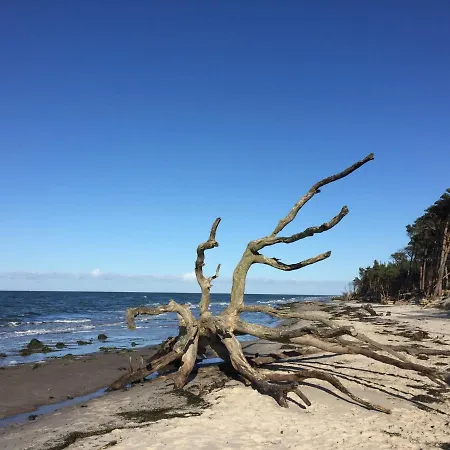 Strandperle Appartement